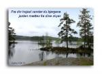 Fra din højsal vander du bjergene, jorden mættes fra dine skyer.